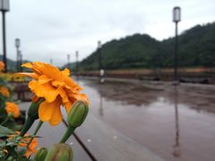 餐厅外景-千岛湖品鱼馆(钓鱼岛店)