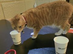 -逃脱反斗城沉浸剧情密室(北京路店)