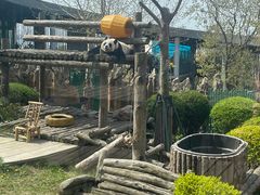 -大连森林动物园