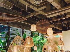 -大头椰·椰子鸡火锅(南宁万象城店)