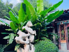 -趵突泉景区