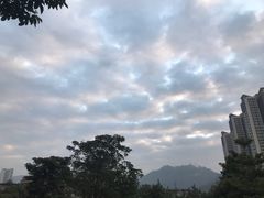 -85度C(广州石牌桥店)