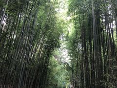 -四门塔风景区