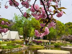 -白马涧龙池景区