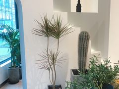 -Such A Cafe(798艺术园区店)
