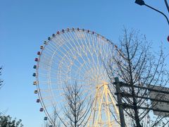 -南昌之星摩天轮