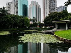 -荔枝公园(福田区)
