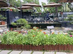 -蘇河湾·新鲁菜·泰山宴(泰山店)