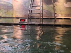 -海洋之星休闲汗蒸浴场