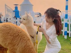 -Blue Concept Cafe&Farm·關於藍