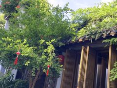 -鲤院·新中式美学·庭院餐厅(夫子庙店)