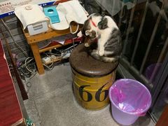 -廖记老砂锅(上清寺店)