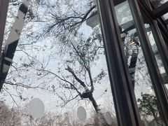 -星巴克(西湖天地店)
