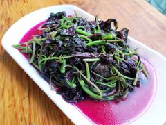 -乡村小榭饭店