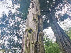 -丹山赤水风景名胜区