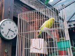 大堂-束河人家(南锣鼓巷店)