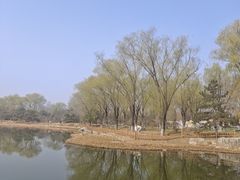 -燕郊植物园