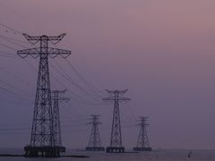 -宝安西湾红树林湿地公园