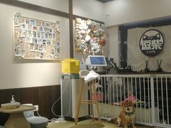 -逗柴咖啡屋·狗咖猫咖宠物桌游