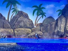 -石家庄市动物园