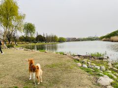 -长广溪湿地公园