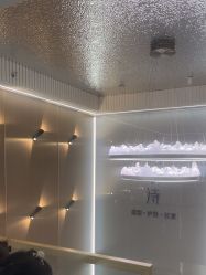 -杜卡诗salon