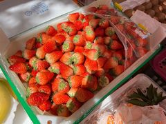 -金隆兴(镜湖店)