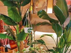 -火塘云南烧烤大排档