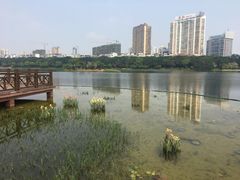 -南宁南湖公园