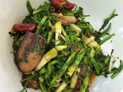 野芹菜炒腊肉-雅和生态渔庄·宜城锅巴饭(龙灵山公园店)