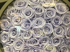 -ROSEONLY诺誓(青岛万象城店)