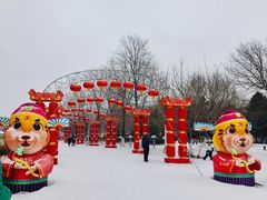 -沈阳奥体冰雪嘉年华