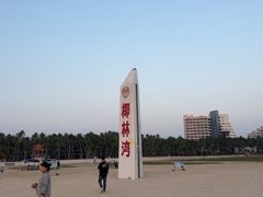 -东郊椰林