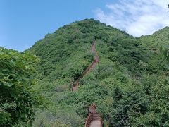 -大岭沟猕猴桃谷风景区