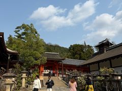 -奈良公园