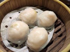 虾饺皇-金碧轩粤菜海鲜大酒楼
