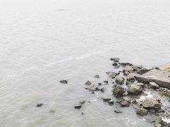 -贡湖湾湿地公园