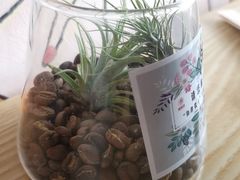 -ZING COFFEE 镜咖啡