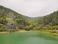 -九龙潭景区