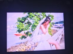 -四叶草环球旅拍