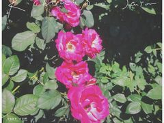 -人民公园(罗湖区)