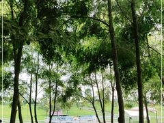 -紫颐香薰山谷景区