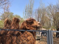 -长白岛森林公园