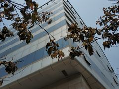 -北京新世纪饭店(动物园地铁站店)