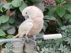 -南宫五洲植物乐园