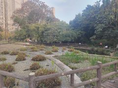 -成都市活水公园