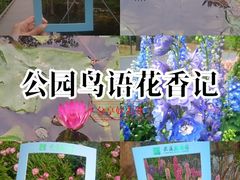 -云溪植物园