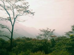 -广州市石门国家森林公园