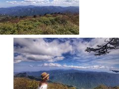-秦岭风景区