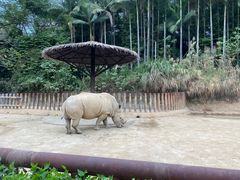 -福州动物园
